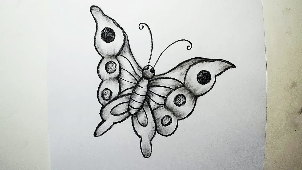 How To Draw A Butterfly Charcoal Drawing And Shading Youtube