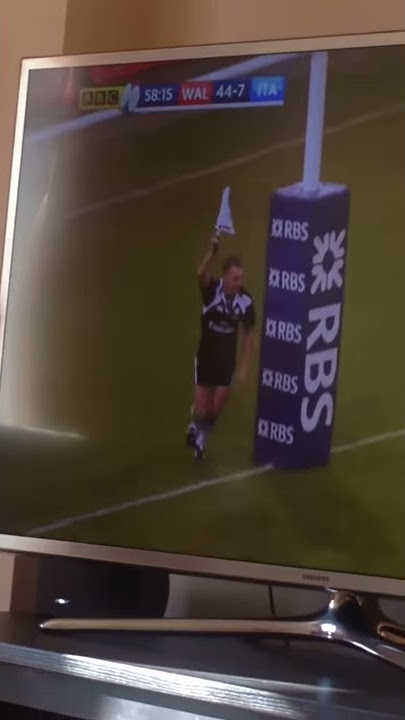 Wales vs Italy ref runs into post