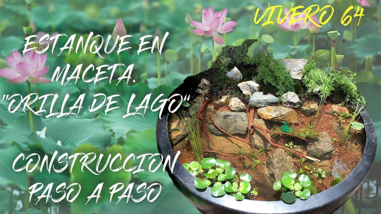 ESTANQUE EN MACETA, ORILLA DE LAGO