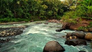 Beautiful Mountain River Flowing Sound, Relaxing Background Noise for Sleep-Nature Thera