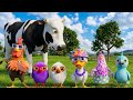 El pollito y el Tractor de la Granja de Zenón de la Vaca Toro y del Pollito la