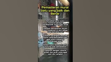 Pemasteran murai batu yg baik dan benar #muraibatu