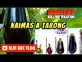 Naimas a tarongilocano funny songs 2023mjr mix vlog