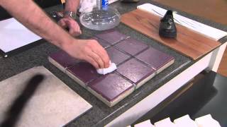 It Works! Extra Strong Super-size 30pc Water Activated Blocks with Carolyn Gracie