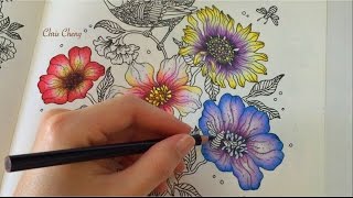 Spring Flower 5/5 : Daydreams Coloring Book | Coloring With Colored Pencils