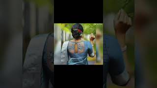 Bollywood Style Boat Neck Blouse Designs