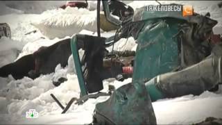 видео: Тяжеловесы картинка: Тяжеловесы