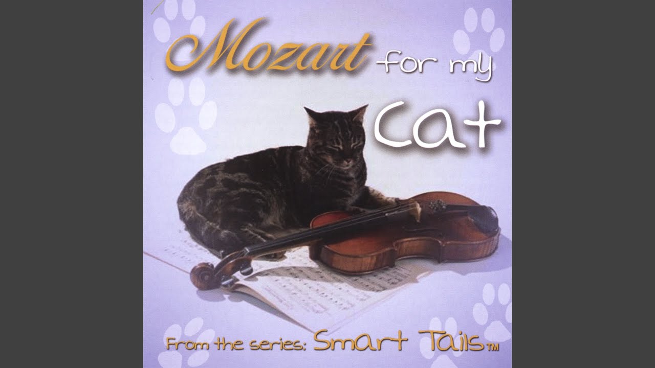 Watch Minuet in C on YouTube Watch Minuet in C on YouTube