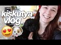 Maszat, és egyéb állatfajták | kiskutya vlog | Csillsz