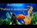 Аплікація Рибки в акваріумі mp3