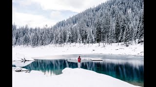 Snowfall  Beauty of Nature  Drone Aerial View   8K