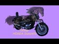 Обзор honda steed 400