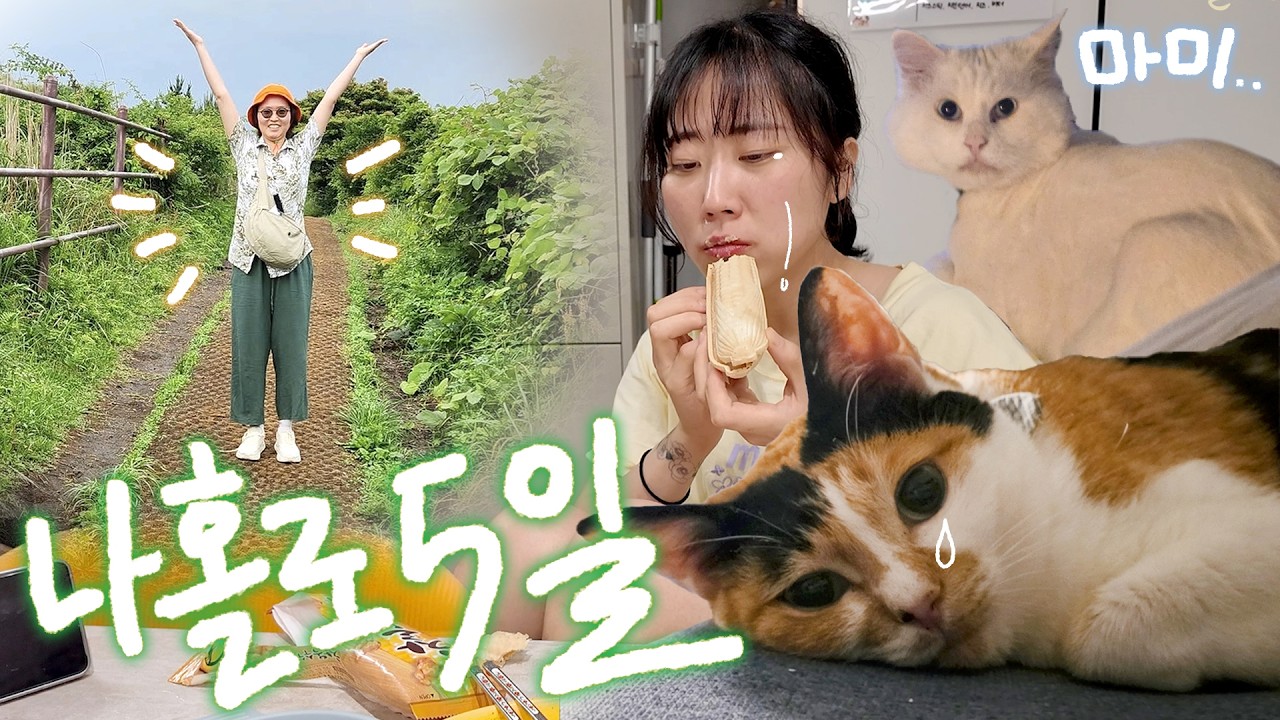 5일간 떠난 가인이를 그리며... 일, 다꾸, 운동 조지는 나홀로 브이로그🍕