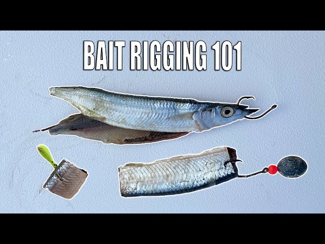 How to RIG A BAIT for bottom fishing - Ballyhoo 3 WAYS 