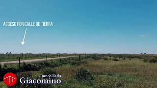 VENDIDO ! OPORTUNIDAD DE INVERSIÓN EN INMOBILIARIA GIACOMINO!
