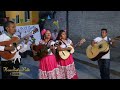 Hermanitas Valle "La Alegría de Acatlán" en "El canto de la cigarra"