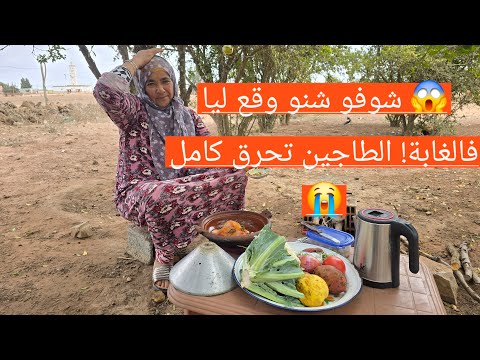 بث مباشر من قلب الغابة أنا وامي طيبنا الغداء وسط الطبيعة رجعنا لأيام الطفولة الجميلة