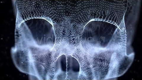 Grid of Human Skull 3 | Motion Graphics - Envato elements