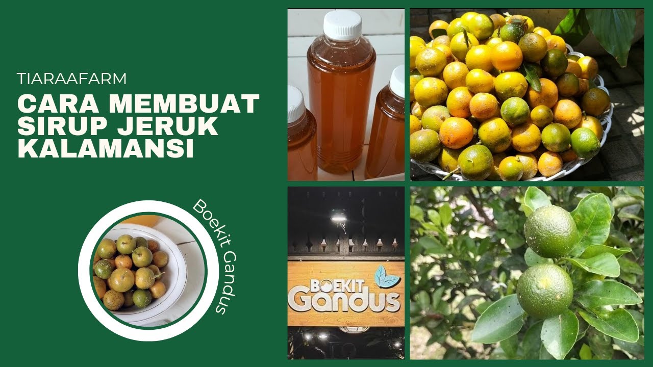 Cara Membuat sirup jeruk kalamansi