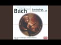Miniature de la vidéo de la chanson Brandenburg Concerto No. 6 In B-Flat Major, Bwv 1051: Ii. Adagio Ma Non Tanto