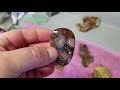 Black Rock Desert thunder egg plume agate