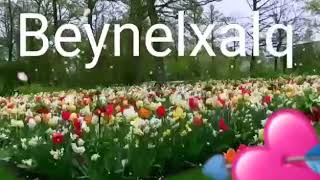 8 Mart Bayrzi Tebrik Edirem Eziz Qadinlar