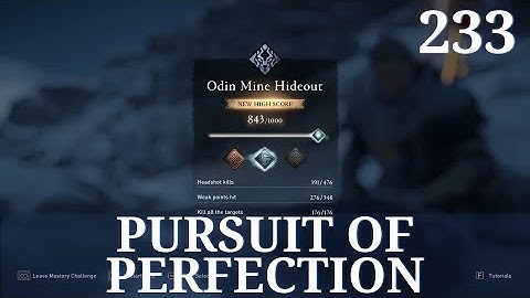 Pursuit of Perfection | Assassin