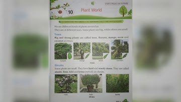 Class 1 subject EVS chapter 10 topic plant world