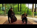 Jazzduo tenswingingstrings by stand arts take five