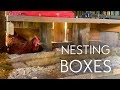 NESTING BOXES For A CHICKEN COOP