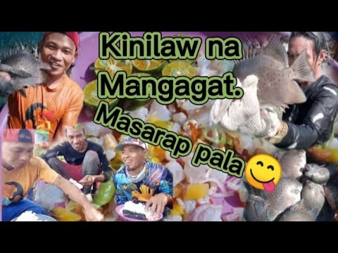 Kinilaw na Mangrove