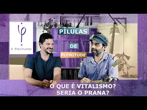 Vídeo: Quem surgiu com o vitalismo?