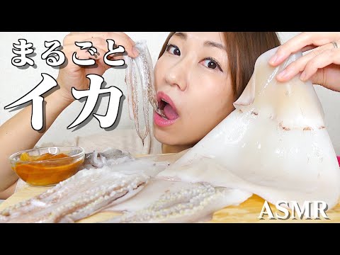 【ASMR】イカを捌いて丸ごと肝醤油につけて食べる音【咀嚼音】