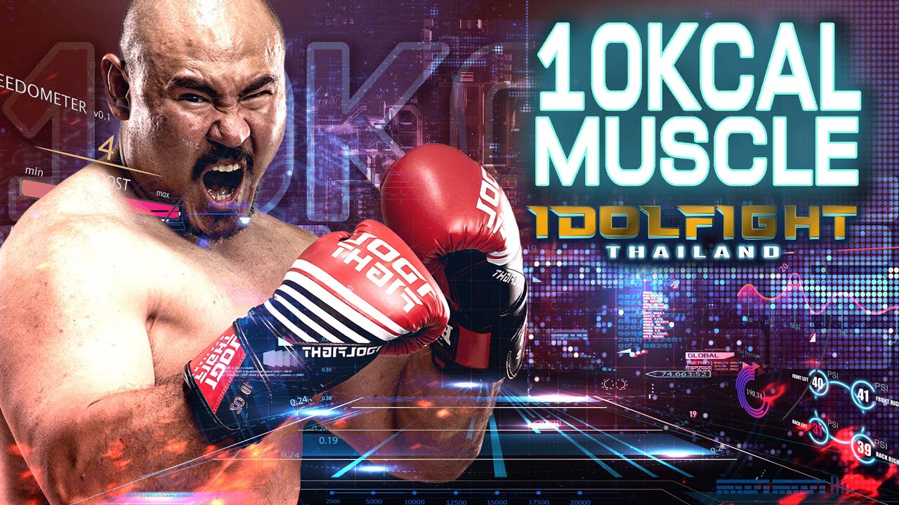 Download 10kcalmuscle  | IDOL FIGHT 2 The Fight Story [EP.5]