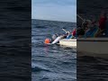 【釣果格差】隣の船が超デカい大物ヒットさせてて、正直めちゃくちゃ羨ましいwww【ルアー海釣り】