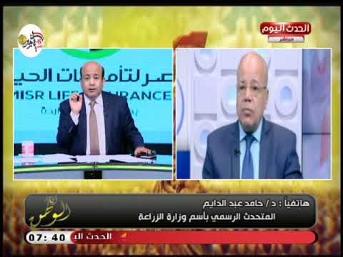 متحدث وزارة الزراعة يكشف أخر تطورات أزمة الطماطم ويبشر الفلاحين بالتعويض