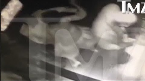 Solange Knowles attacking Jay Z elevator footage