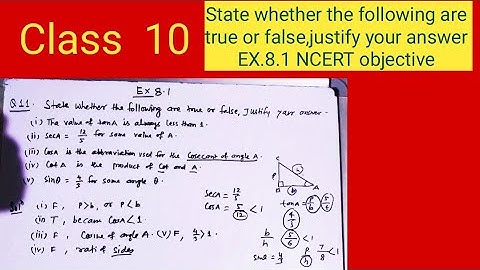 State whether the following are true or false,justify your answer EX.8.1 NCERT objective