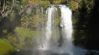 Virtual Hike Dense Forest Riverside Waterfalls 1 Hour Actual Sound