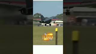 Muffins In The Freezer シViral