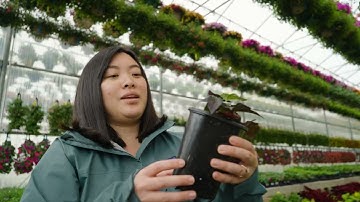 Green Industry Sizzle Reel