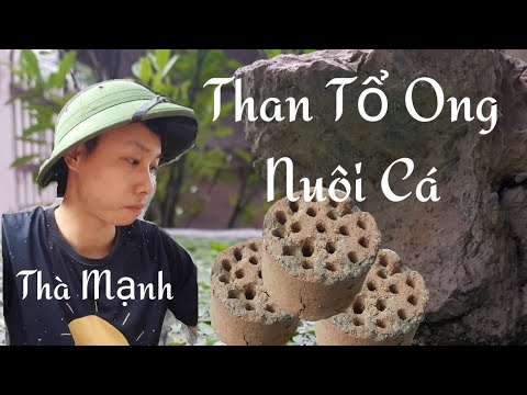 Video Cách xử lý than tổ ong vào nuôi cá 7 màu - youtube