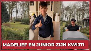 Daisy And Junior Are Lost -