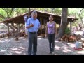 Primeira granja do Piauí investe na grande criação de galinhas caipiras