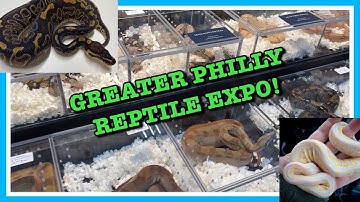 GREATER PHILADELPHIA REPTILE EXPO (Feb 2021) NEW PICKUPS!! | Reptiles | Ball Python Breeding