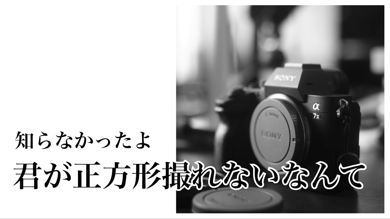SONY α7IIIを4年弱使ってきて知らなかった驚愕の事実。気づいてあげ