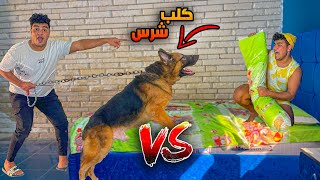 لما تجيب كلب في البيت وتخوف بيه اخوك الصغير😂🦮 | سيف عماد