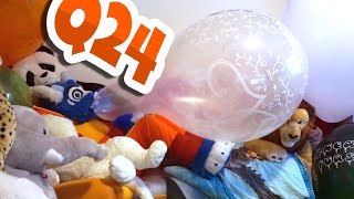 Qualatex 24 Blow to Pops + Plushies 🐕