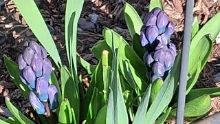 The Astrology of April 14, 2026: Progressive change...