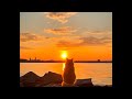 (FREE) Sad Piano x Acoustic Guitar Type Beat *no drums* - chase a feeling